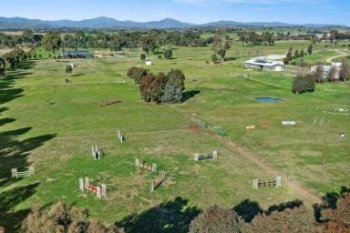 Acreage/Semi-rural For Sale - VIC - Mansfield - 3722 - 16.27 Acres of Horse Paradise in Mansfield, Victoria  (Image 2)