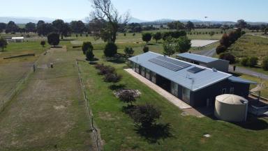 Acreage/Semi-rural For Sale - VIC - Mansfield - 3722 - 16.27 Acres of Horse Paradise in Mansfield, Victoria  (Image 2)