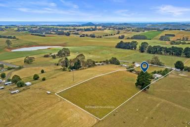 House For Sale - TAS - Ridgley - 7321 - Relaxing Lifestyle Property!  (Image 2)