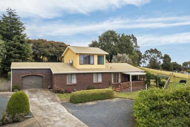 House For Sale - TAS - Ridgley - 7321 - Relaxing Lifestyle Property!  (Image 2)