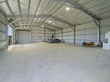 Industrial/Warehouse For Sale - VIC - Bairnsdale - 3875 - BRAND NEW INDUSTRIAL SHED  (Image 2)