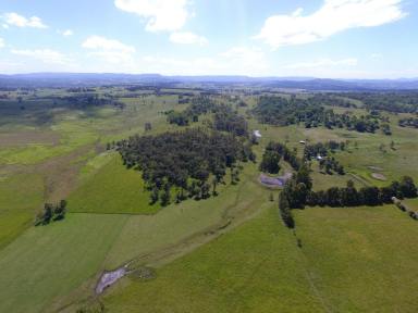 Mixed Farming For Sale - NSW - Stratheden - 2470 - GREAT LOCATION, FERTILE PROPERTY  (Image 2)