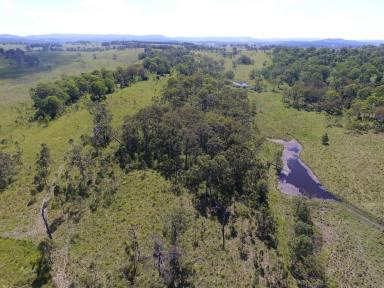 Mixed Farming For Sale - NSW - Stratheden - 2470 - GREAT LOCATION, FERTILE PROPERTY - PRICE REDUCTION  (Image 2)