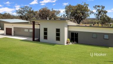 House For Sale - NSW - Inverell - 2360 - 'Tanamera' 47 Talbragar Close Inverell 2360  (Image 2)