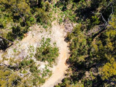 Residential Block For Sale - TAS - Wesley Vale - 7307 - Elevated Private Block with Cleared House Site  (Image 2)