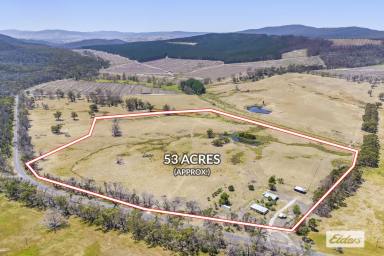 Lifestyle For Sale - VIC - Raglan - 3373 - Unique lifestyle and hobby farming opportunity in a picturesque valley  (Image 2)