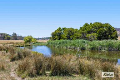 Lifestyle For Sale - VIC - Raglan - 3373 - Unique lifestyle and hobby farming opportunity in a picturesque valley  (Image 2)