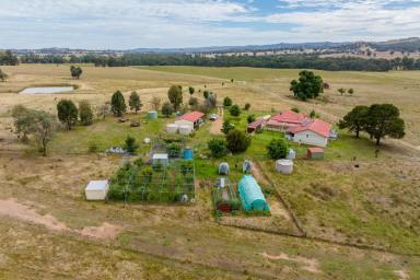 Mixed Farming For Sale - NSW - Humula - 2652 - Retirement Beckons - Grazing and Lifestyle Opportunity  (Image 2)