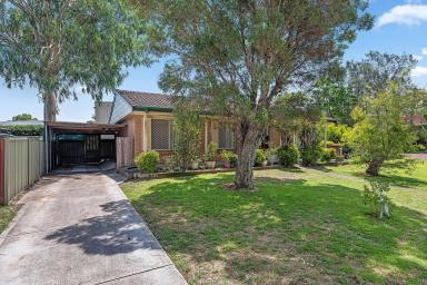 House For Sale - NSW - Raymond Terrace - 2324 - NEAT AND TIDY HOME ON A GENEROUS 635m² CORNER BLOCK  (Image 2)