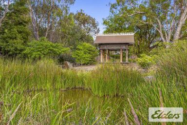 Residential Block For Sale - VIC - Avoca - 3467 - A Rare Opportunity: A Sanctuary of Natural Beauty and Cultural Elegance  (Image 2)