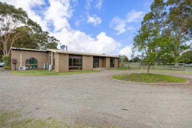 Acreage/Semi-rural For Sale - VIC - Nicholson - 3882 - Blending Space, Family Functionality & Great Shedding  (Image 2)