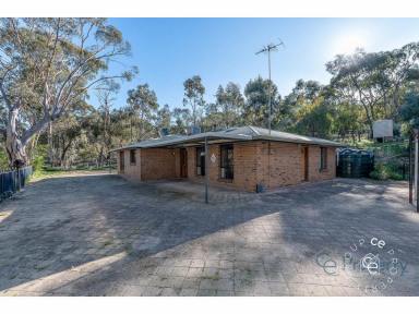 Acreage/Semi-rural For Sale - SA - Humbug Scrub - 5114 - Semi-secluded lifestyle holding  (Image 2)