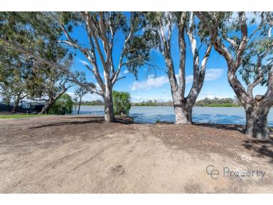 Residential Block For Sale - SA - Port Mannum - 5238 - A Little Piece of Paradise  (Image 2)