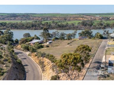 Residential Block For Sale - SA - Mannum - 5238 - 1 ½ Residential Acres Overlooking The River  (Image 2)