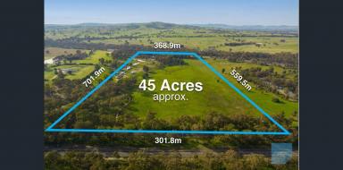 Lifestyle For Sale - VIC - Seymour - 3660 - 45 acres 4 large dams 3 bedroom home  (Image 2)