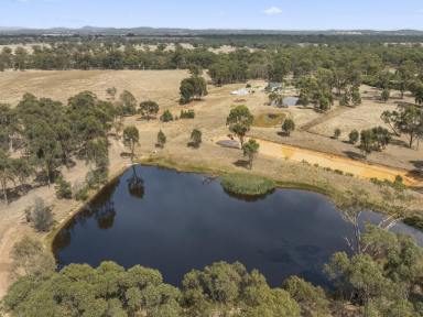 Lifestyle For Sale - VIC - Seymour - 3660 - 45 acres 4 large dams 3 bedroom home  (Image 2)