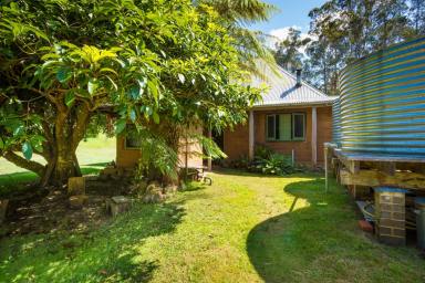 Lifestyle For Sale - NSW - Wyndham - 2550 - Your Unique Forest Retreat  (Image 2)