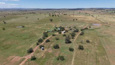 Mixed Farming For Sale - NSW - Yeoval - 2868 - Central West Mixed Farming  (Image 2)