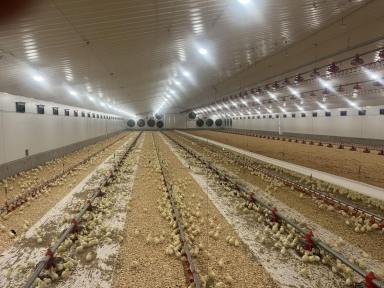 Business For Sale - NSW - Sydney - 2000 - Thriving Agritech Business with Global Reach and Proven Success  (Image 2)