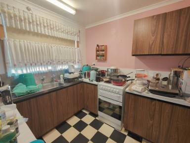 House Sold - TAS - Waratah - 7321 - Wonderful Waratah  (Image 2)