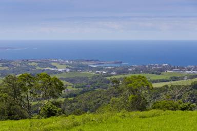 Lifestyle For Sale - NSW - Saddleback Mountain - 2533 - ~ DJAWULA~  (Image 2)