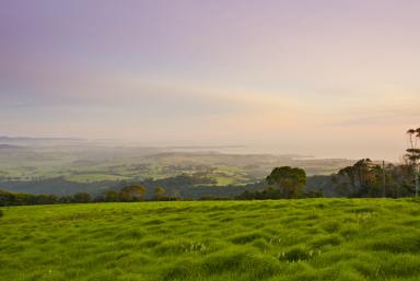 Lifestyle For Sale - NSW - Saddleback Mountain - 2533 - ~ DJAWULA~  (Image 2)