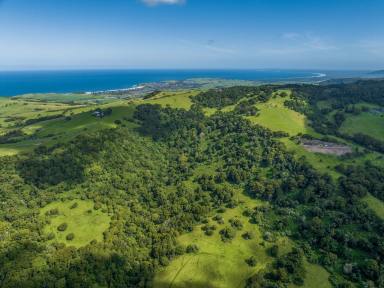 Lifestyle For Sale - NSW - Saddleback Mountain - 2533 - ~ DJAWULA~  (Image 2)