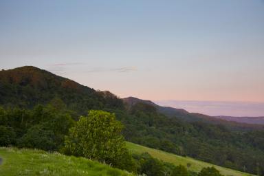 Lifestyle For Sale - NSW - Saddleback Mountain - 2533 - ~ DJAWULA~  (Image 2)