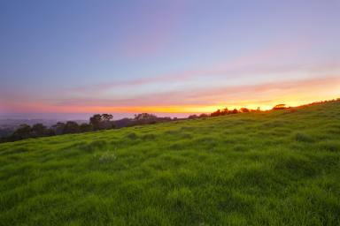 Lifestyle For Sale - NSW - Saddleback Mountain - 2533 - ~ DJAWULA~  (Image 2)