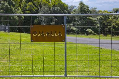 Lifestyle For Sale - NSW - Saddleback Mountain - 2533 - ~ DJAWULA~  (Image 2)