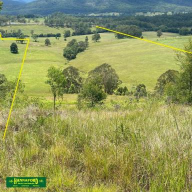 Farmlet For Sale - NSW - Weismantels - 2415 - WARDS RIVER FARMLET  (Image 2)