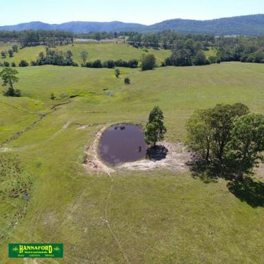 Farmlet For Sale - NSW - Weismantels - 2415 - WARDS RIVER FARMLET  (Image 2)