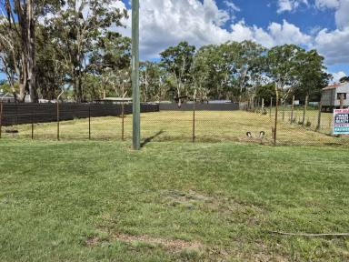 Residential Block For Sale - QLD - Yarraman - 4614 - 1012sqm block at the start of the Yarraman-Brisbane Valley Rail Trail!  (Image 2)