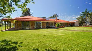 Lifestyle For Sale - NSW - Gilgandra - 2827 - Spacious Rural Lifestyle  (Image 2)