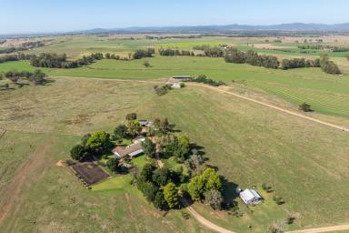 Mixed Farming Auction - NSW - Canowindra - 2804 - 453acres*, Prime Self Watering River frontage & Livestock Grazing Land With a Modern Family Home!  (Image 2)