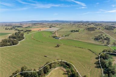 Mixed Farming For Sale - NSW - Canowindra - 2804 - 453acres*, Prime Self Watering River frontage & Livestock Grazing Land With a Modern Family Home!  (Image 2)