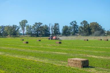 Mixed Farming Auction - NSW - Canowindra - 2804 - 453acres*, Prime Self Watering River frontage & Livestock Grazing Land With a Modern Family Home!  (Image 2)