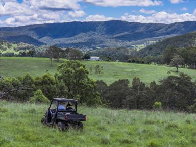 Lifestyle For Sale - NSW - Dungog - 2420 - Productivity Without Compromise - 'Larra' Has it All!  (Image 2)