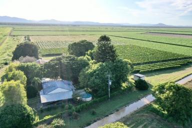 Other (Rural) For Sale - QLD - Millaroo - 4807 - Sugar Cane - Grazing - Passionfruit - Property WIWO  (Image 2)