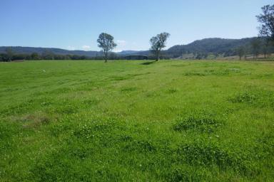 Mixed Farming For Sale - NSW - Kyogle - 2474 - IRRIGATION & LIVESTOCK PROPERTY - 443ML WATER ALLOCATION  (Image 2)
