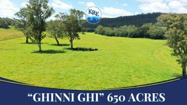 Mixed Farming For Sale - NSW - Kyogle - 2474 - IRRIGATION & LIVESTOCK PROPERTY - 443ML WATER ALLOCATION  (Image 2)