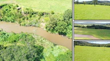 Mixed Farming For Sale - NSW - Kyogle - 2474 - IRRIGATION & LIVESTOCK PROPERTY - 443ML WATER ALLOCATION  (Image 2)