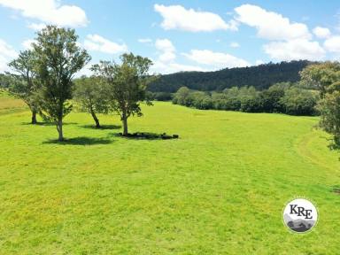 Mixed Farming For Sale - NSW - Kyogle - 2474 - IRRIGATION & LIVESTOCK PROPERTY - 443ML WATER ALLOCATION  (Image 2)