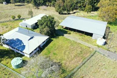 Mixed Farming For Sale - NSW - Kyogle - 2474 - IRRIGATION & LIVESTOCK PROPERTY - 443ML WATER ALLOCATION  (Image 2)