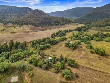 Mixed Farming For Sale - NSW - Doyles Creek - 2330 - "Bargra Park" Doyles Creek - 25.24Ha (62.34 Acres) + Water Security + 2 Cottages!  (Image 2)