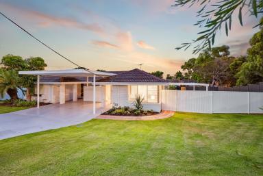 House For Sale - WA - Hillarys - 6025 - Simply Stunning  (Image 2)