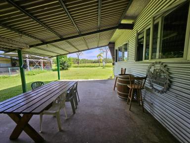 Lifestyle For Sale - QLD - Cooktown - 4895 - 20 Acre Rural Retreat  (Image 2)