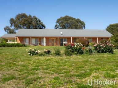 Acreage/Semi-rural For Sale - NSW - Inverell - 2360 - 'Yarramundi'  (Image 2)