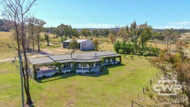 Mixed Farming For Sale - NSW - Deepwater - 2371 - "Argyll"- High Rainfall Farming Opportunity  (Image 2)