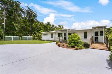 Acreage/Semi-rural For Sale - QLD - Eudlo - 4554 - TRANQUIL ACREAGE LIVING CLOSE TO PALMWOODS  (Image 2)